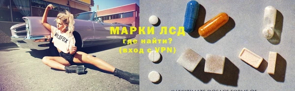 индика Бородино
