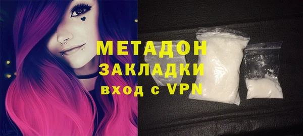 индика Бородино
