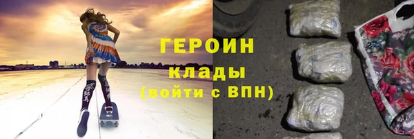 индика Бородино