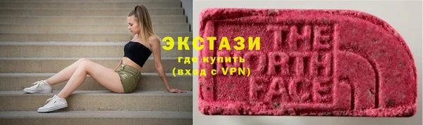 индика Бородино