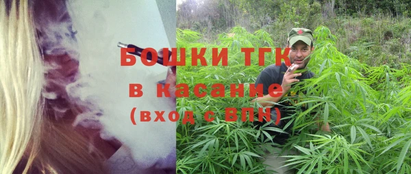 эйфоретик Бикин