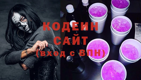 индика Бородино