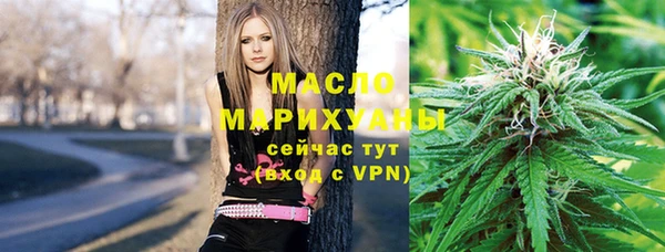 индика Бородино