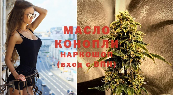 индика Бородино