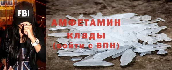 индика Бородино