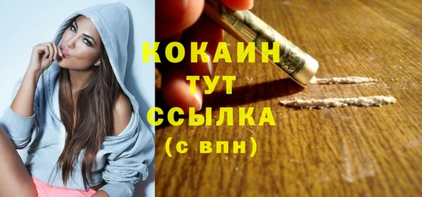 эйфоретик Бикин