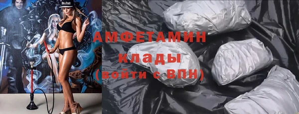 индика Бородино