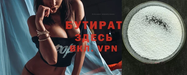 индика Бородино