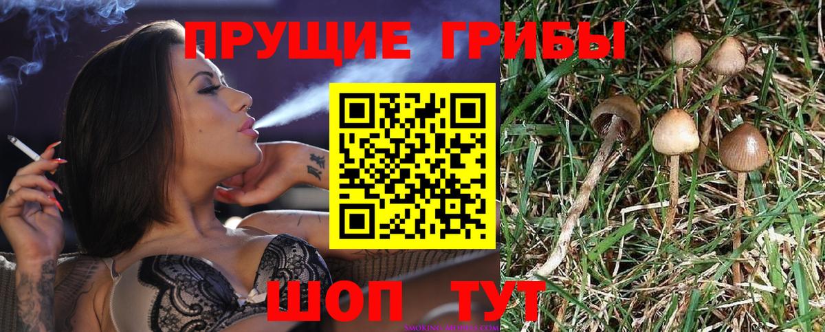Галлюциногенные грибы Cubensis Выкса